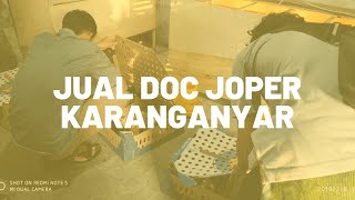 Jual Doc Joper Karanganyar