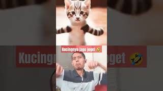 Kucingnya jago joget gaes 😂 #funny #cat