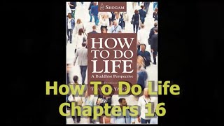 How to Do Life Chapter 16