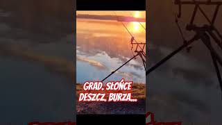 zasiadka karpiowa grad deszcz słońce burza #shortvideo #fishing #karpiowanie #fish #ryby #subscribe