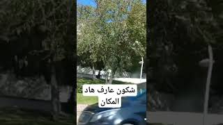 لي عراف هاد المكان إقولالي#shorts