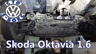 Обзор  Skoda Octavia A5 1.6 на СТО