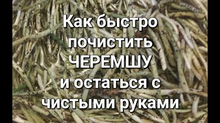 Как быстро почистить черемшу и остаться с чистыми руками