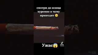 Не кури, а то лёгкие превратятся в это......