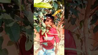 टेङे टेंगे नाही देंगे 😱👀funny video #shortvideo #comedy