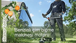 Benzinli cim biçme makinesi motoru: bakımı, sorunları ve cözümleri