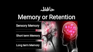 memory in psychology | types of memory | sensory memory-short term memory-long term memory