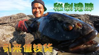 160天没抽的20米长海峡沟，秘制2天的3个猪肺引来价值800的值钱货