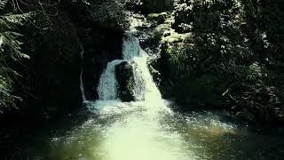 Cataract Falls hike in Marin County shot with a Fujifilm X-Pro 3