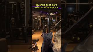 Revezar na academia #humor #gatos #gato #cats #cat #treino #treinos #academias #dieta #nutrição #fit