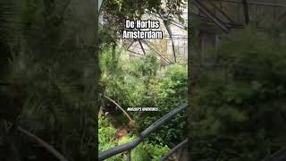 ❤️🤩stunning botanical garden de hortus, Amsterdam Netherlands #shorts #shortvideo #short #travel