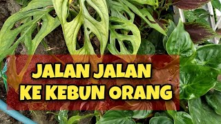 Keliling Kebun Orang