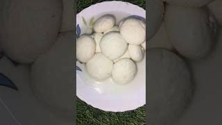 homemade soft and testy rasgulla recipe #sorts #trending #viral #rasgulla #reels 🤤😋👌👍