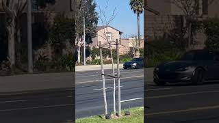 this miata has blessed my ears 😌 #miata #loudexhaust #flyby #car #automobile #acceleration