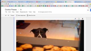 How to Insert Images into Google Forms