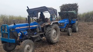 ये क्या कर दिया Powertrac Euro 239 Plus 41 ने ! Tractor video | Tractor tochan || BR22 Kisan ||