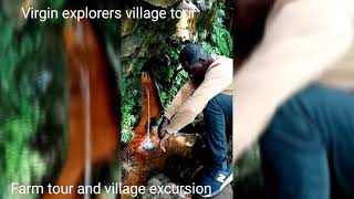 Kirinyaga farm and village excursions