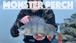 BIG PERCH FISHING - PB CAUGHT