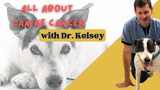 Dr. Kelsey Talks Canine Cancer