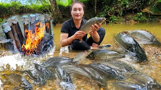 Meet a giant school of fish - Catch fish on a rainy day - Grill fish using bamboo tubes | Ly Thi Tam