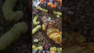 😍श्री कृष्ण जन्माष्टमी 2023।।happy krishna janmashtami 2023।।nitin sir vlogs