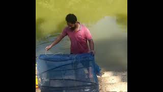 മീൻപിടുത്തം /fishing in keraka