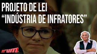 PL de Carla Zambelli ignora segurança no transito - entenda