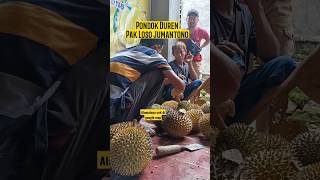 Pondok Duren Pak Loso Juamantono Karanganyar #shorts #pecintadurian #kuliner #musangking