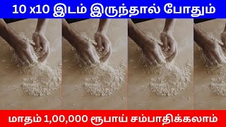 10 x10 இடம் இருந்தால் போதும் மாதம் 1,00,000 ரூபாய் சம்பாதிக்கலாம் ​ | Small Business Ideas | Tamil