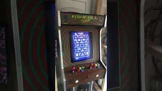 Winfall video arcade machine