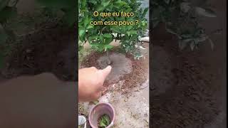 Eita povo complicado sem noção viu 👀