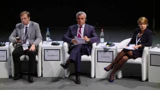 Session IV: New models of economic cooperation in the context of global crisis