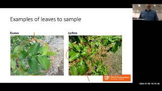 Leaf Nutrient Analysis for Tropical Fruit in South Florida