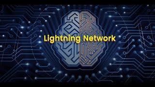 Количество нодов в Lightning Network уже более 150