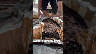 Transforming My Garden Trails with Bark Mulch | Easy DIY Guide