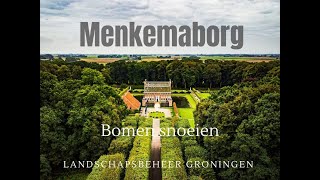 Bomen snoeien Menkemaborg Uithuizen door landschapsbeheer Groningen