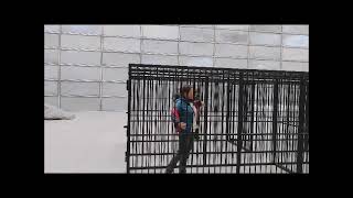 Eisenkäfig / iron cage / 铁笼子 Performance Wanglan #arts #performance #perfomance #hamburgerbahnhof