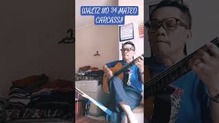 WALTZ NO 34  MATEO CARCASSI@sahatmaringan6118 CHANNEL