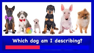 ESL Game | Guess the Dog | Intermediate Level