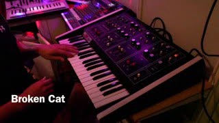 Broken Cat - Octave The Cat in partially working order still sounds awesome