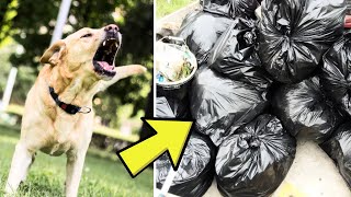 Mom Figures Out What the Neighbor Did When the Dog Won't Stop Barking at the Trash Bag