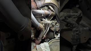 The proper way to install a V band turbo clamp! #shorts #mechanic #automobile #turbo #ford