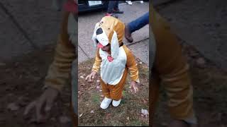 Halloween Fun | Costume | #shortvideo |#viral