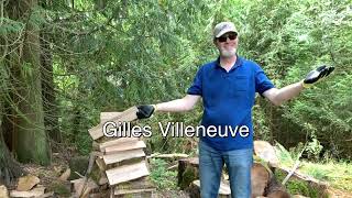 Gilles Villeneuve woodchopping