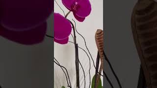 Purple Orchid Arrangement | Viva Orchids