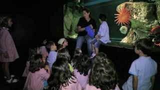 Programa de Educação do Oceanário de Lisboa