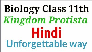 Kingdom protista by be educated in hindi.