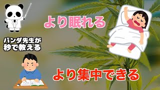 パンダでもわかるCBD、CBN、CBGの使い分け