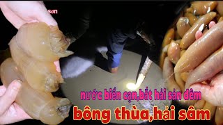 Mùa nước biển cạn,bắt hải sâm,bông thùa và các loại hải sản biển/độc lạ sầm sơn