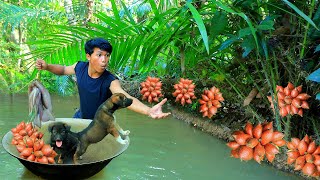 Survival in the rainforest- Man smart dog pick salak | grilled squid for dog -Eating